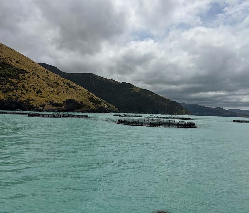 Akaroa, Canterbury - A charming seaside village with French heritage and opportunities for dolphin swimming.