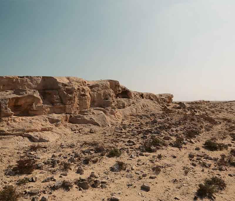Ancient rock carvings at Al Jassasiya etched in limestone, surrounded by desert terrain and bathed in natural sunlight.