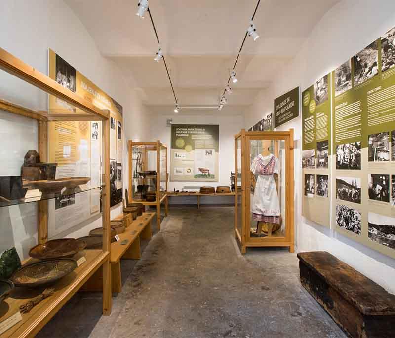 Alpine Dairy Farming Museum, a museum in Triesenberg showcasing traditional dairy farming practices and tools.