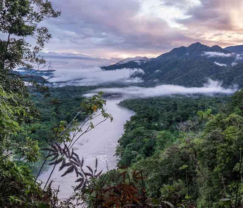 Amazon Rainforest, a vast and biodiverse ecosystem with rich flora and fauna, offering adventure and exploration.