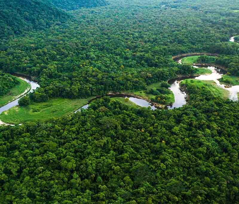 Amazon Rainforest, highlighting the vast and biodiverse tropical rainforest, home to countless species and communities.