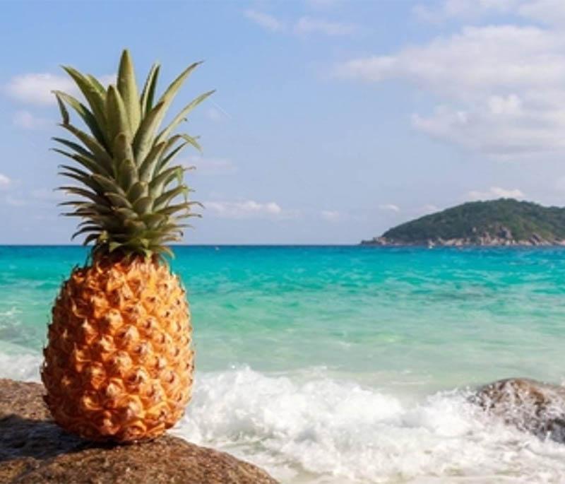 Ananas Island - A scenic island known for its pineapple plantations, natural beauty, and agricultural heritage.