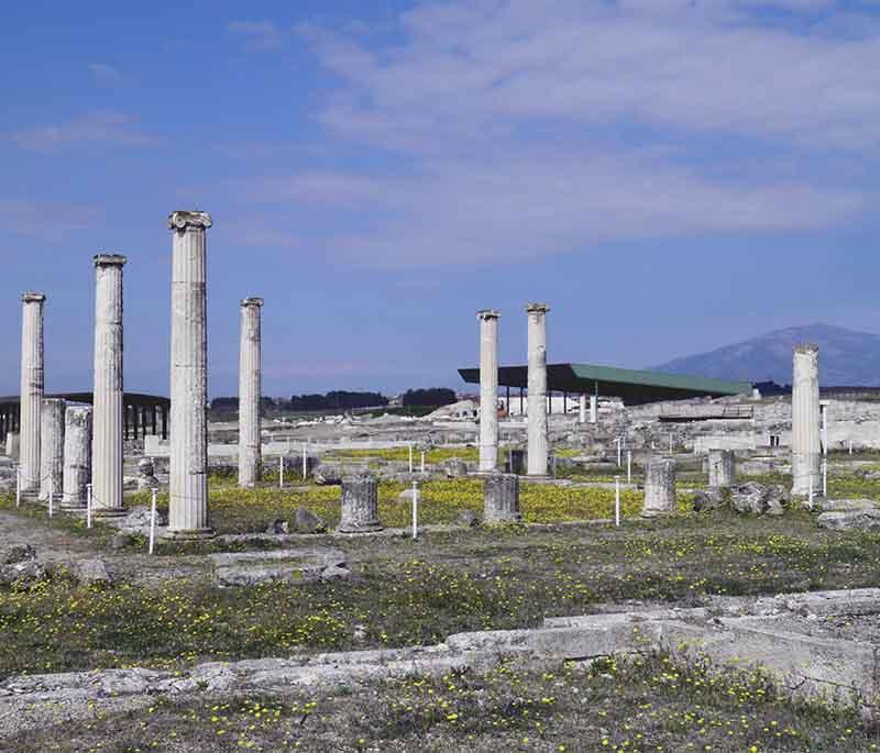 Ancient Pella, the capital of ancient Macedonia and birthplace of Alexander the Great, featuring ruins and a museum.