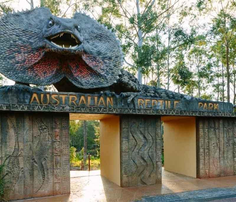 Australian Reptile Park in New South Wales features a variety of reptiles and offers educational shows.