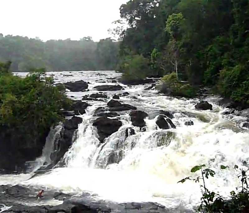 Avanavero Nature Reserve - A remote and biodiverse area known for its pristine rainforest and wildlife.
