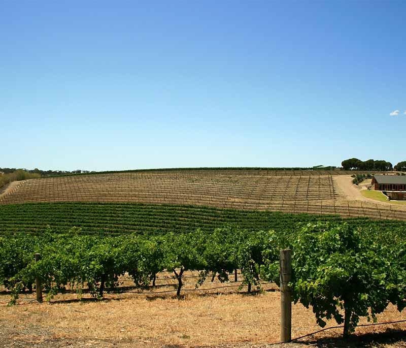 Barossa Valley in South Australia is renowned for its world-class wineries, gourmet food, and beautiful vineyard scenery.