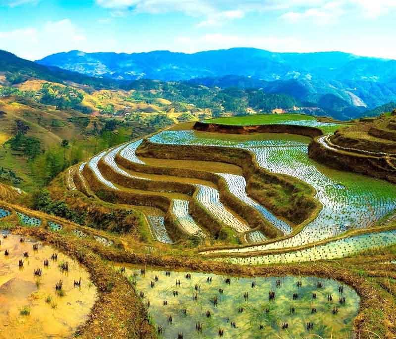 Batad Rice Terraces - Steep, amphitheater-like rice terraces in Ifugao, offering stunning views and traditional farming.