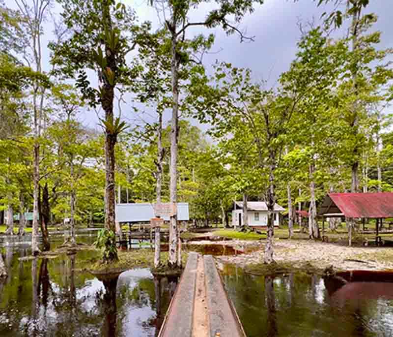 Blaka Watra (Black Water) - A natural swimming spot with dark, mineral-rich waters believed to have healing properties.