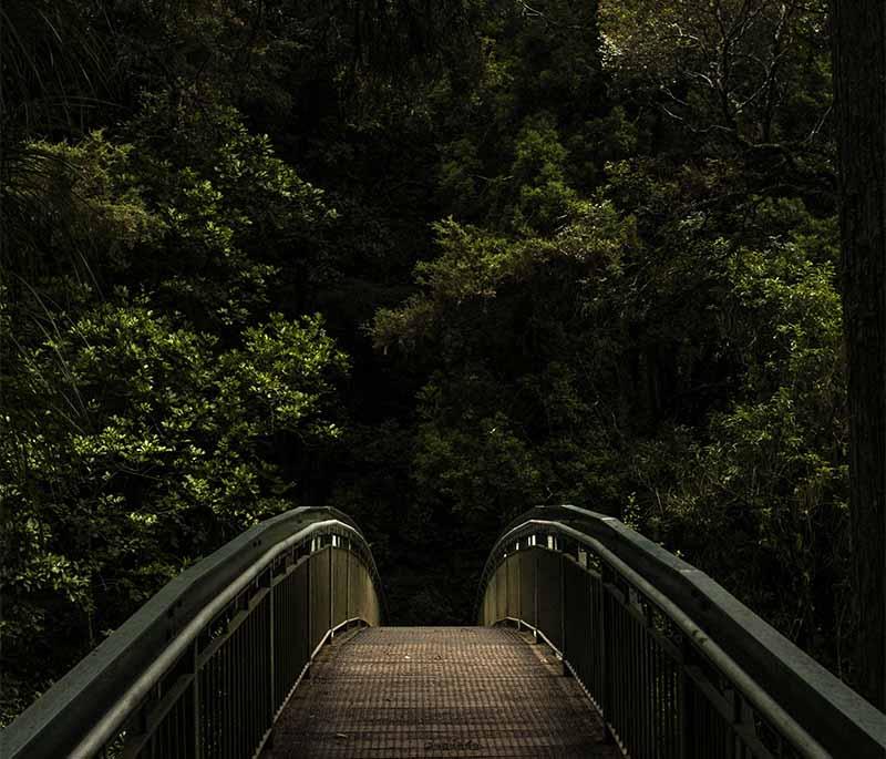 Bloukrans Bridge Bungee Jump, Tsitsikamma - One of the world's highest bungee jumps, offering thrilling experiences.