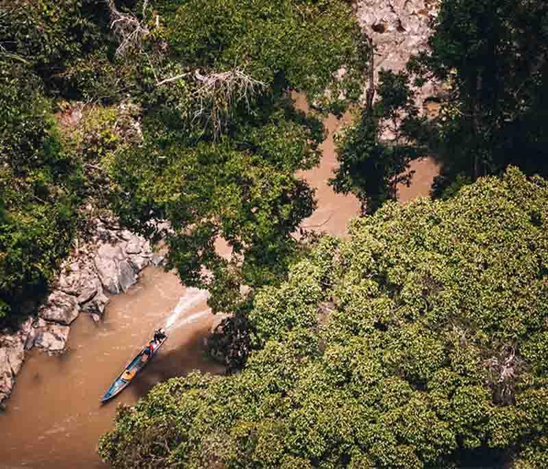 Borneo Rainforest, Kalimantan, one of the oldest rainforests, home to diverse flora and fauna including orangutans.