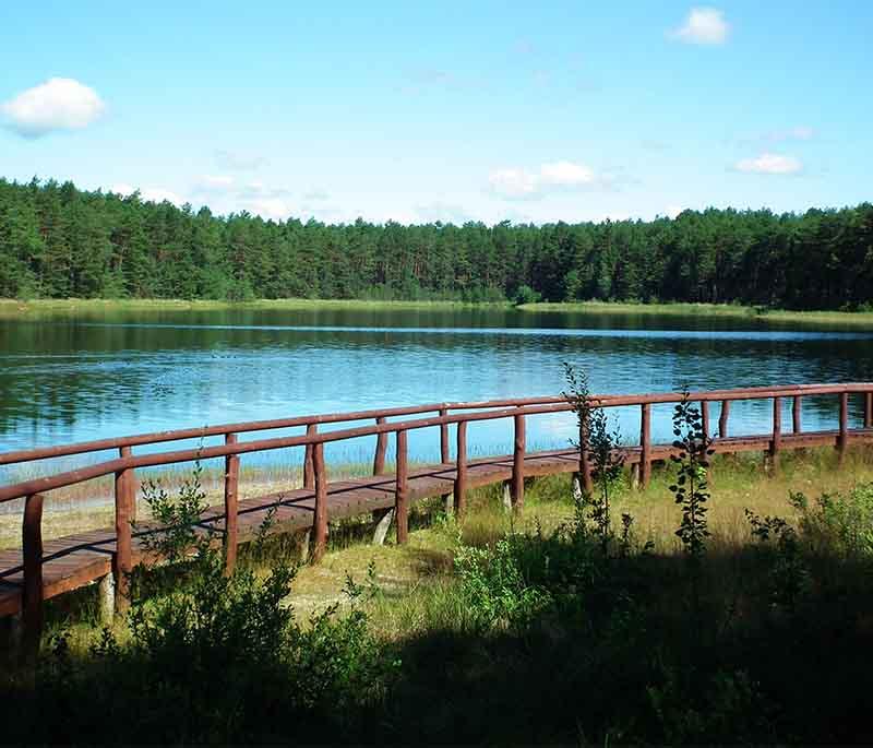 Bory Tucholskie National Park - Park with dense forests, lakes, and diverse wildlife, ideal for nature lovers and activities.