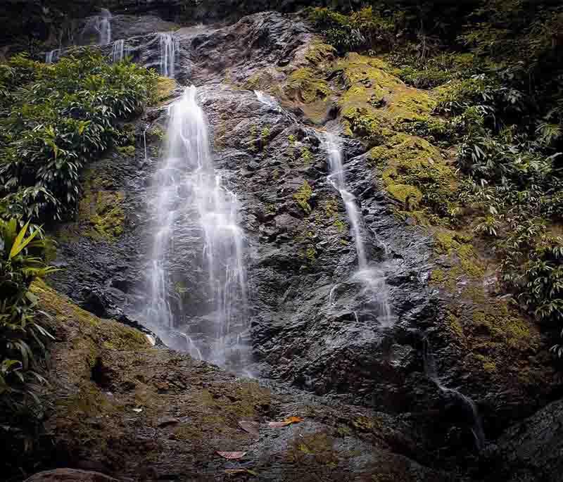 Brownsberg Nature Park - A popular nature reserve offering hiking trails, waterfalls, and stunning views of the rainforest.