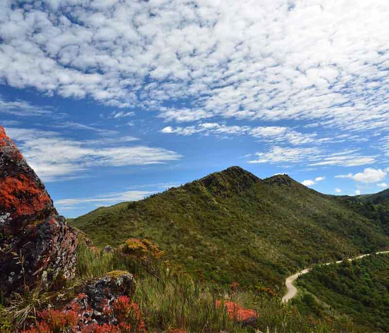 Chingaza National Park, offering beautiful Andean landscapes, high-altitude lakes, and a variety of wildlife near Bogotá.