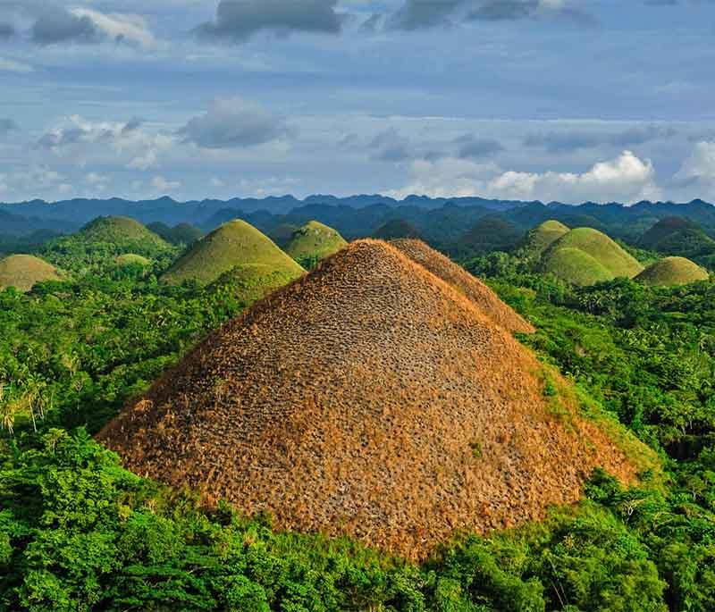 Chocolate Hills in Bohol - Unique geological formations of conical hills that turn brown in the dry season.