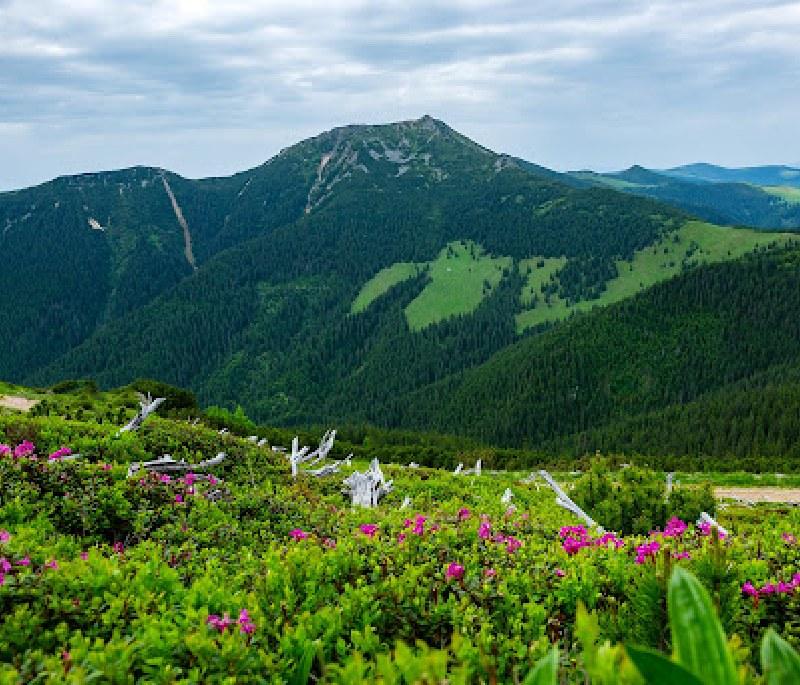 Călimani National Park - A wilderness area with unique flora, volcanic landscapes, and opportunities for outdoor activities.