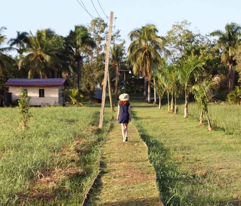 Commewijne Plantation Loop - A scenic route through historic plantations, ideal for cycling and cultural tours.