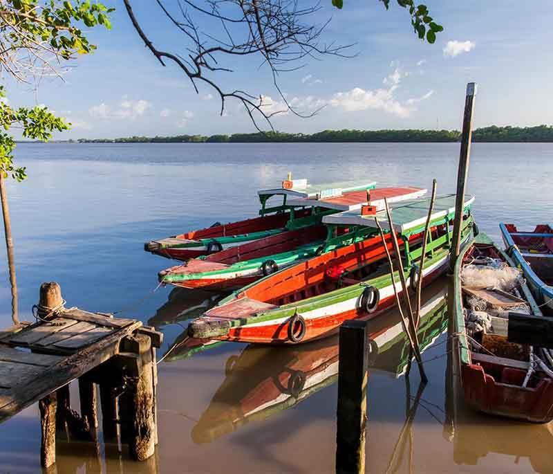 Commewijne River Tours - Explore the historic plantations and natural beauty along the Commewijne River.