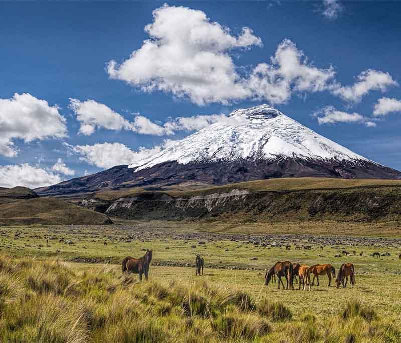 Cotopaxi National Park, home to the Cotopaxi volcano, offering hiking, wildlife viewing, and high-altitude landscapes.