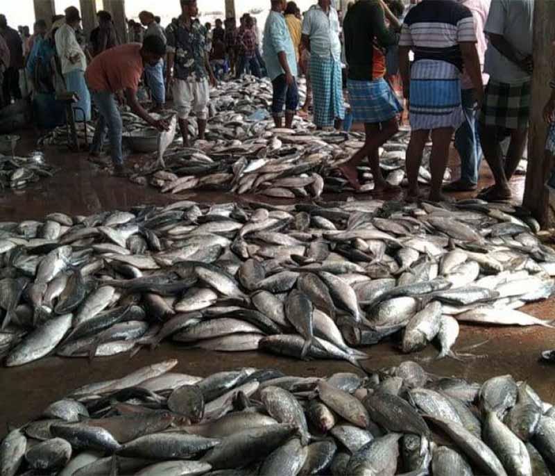 Cox's Bazar Fish Market, depicting the bustling market with a variety of fresh seafood, a key part of local trade.