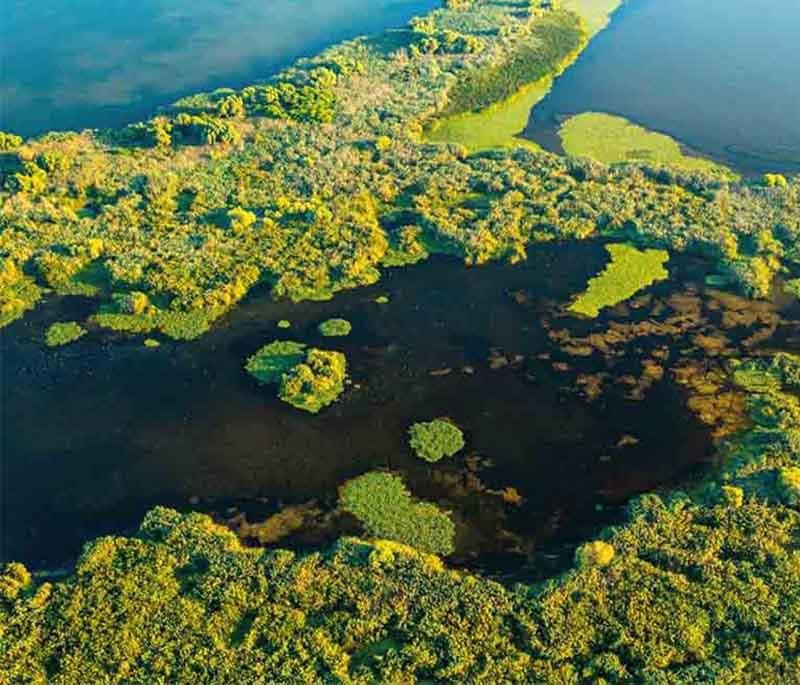 Danube Delta - Unique and biodiverse natural reserve, UNESCO site, and one of Europe's best-preserved deltas.