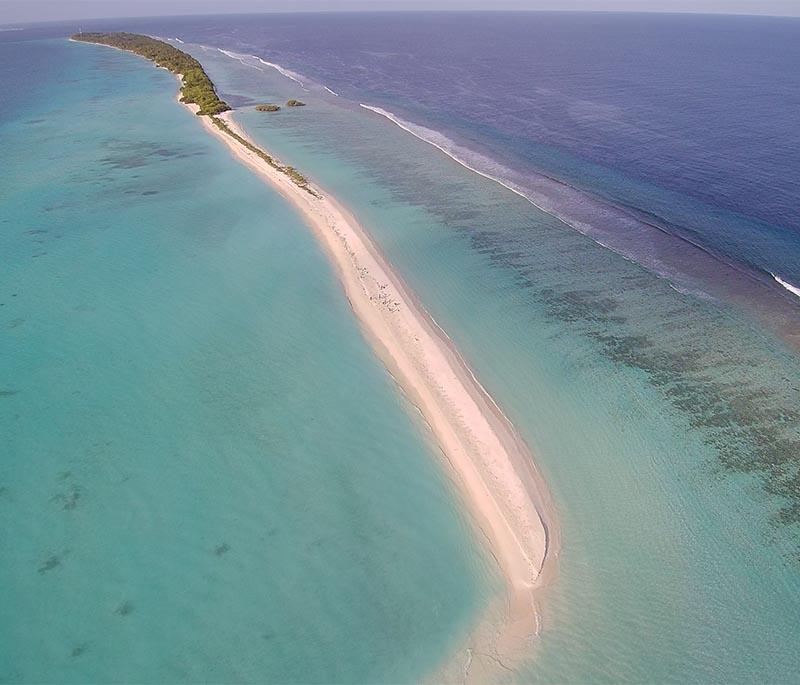 Dhigurah is well-known for its long, narrow island structure and excellent whale shark spotting opportunities.