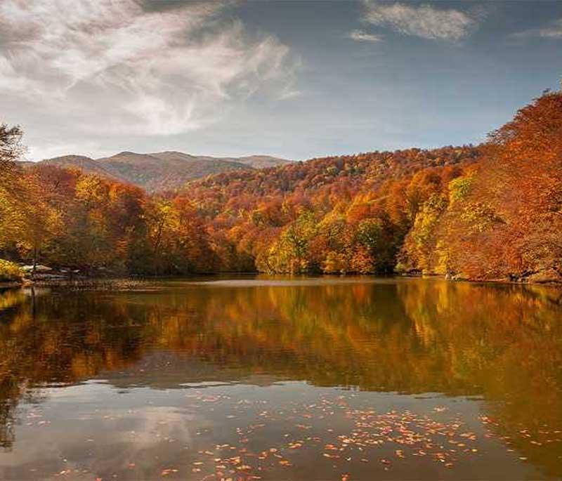 Dilijan National Park, illustrating lush forests and mountain streams, often called Armenia's Switzerland.