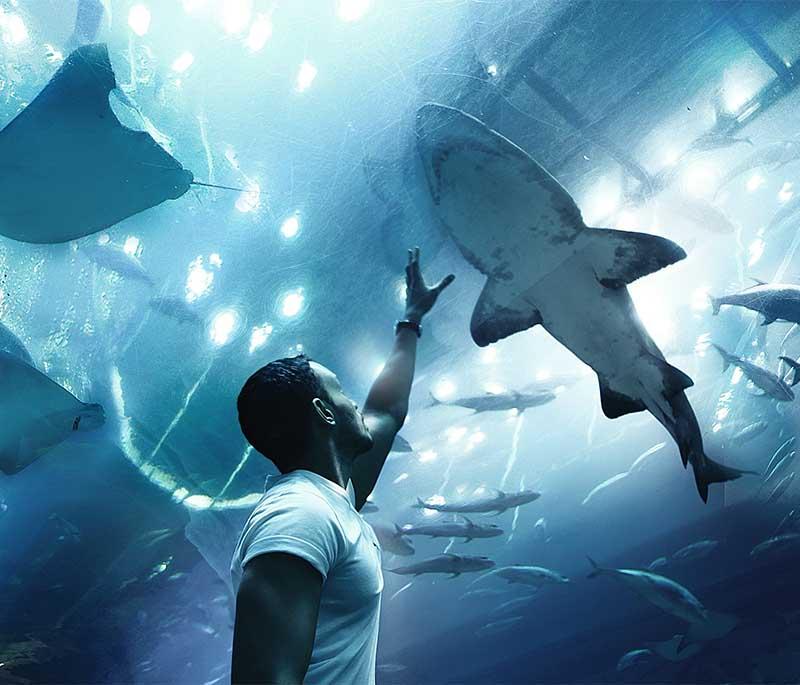 Dubai Aquarium 
