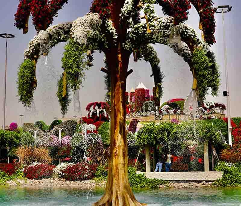 Dubai Miracle Garden, Dubai - The world's largest natural flower garden, featuring elaborate floral displays and sculptures.