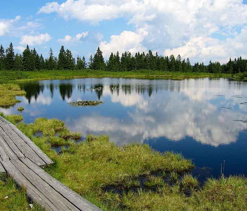 Dzukija National Park, a national park in southern Lithuania known for its pine forests, rivers, and traditional villages.