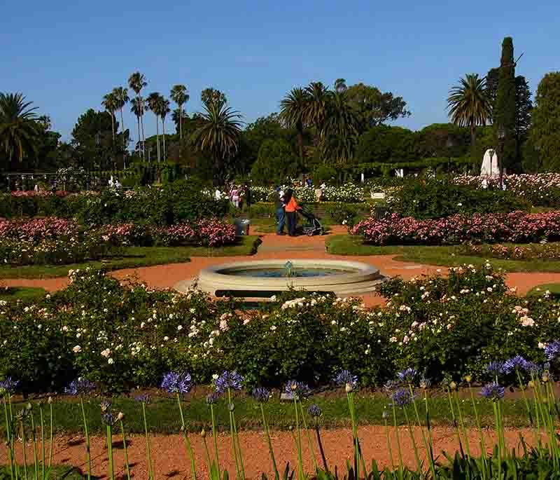 El Rosedal in Buenos Aires: Beautiful rose gardens, charming pathways, and romantic gazebos create a picturesque setting.