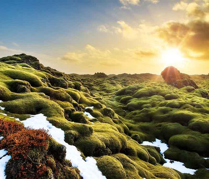 Eldhraun Lava Field, a vast lava field from an 18th-century eruption, known for moss-covered terrain.