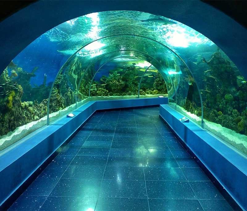 Fakieh Aquarium - Jeddah - An aquarium showcasing marine life from the Red Sea, with educational exhibits and entertainment.