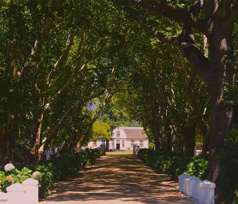 Franschhoek - A historic town in the Cape Winelands, known for wine estates, gourmet restaurants, and charming atmosphere.