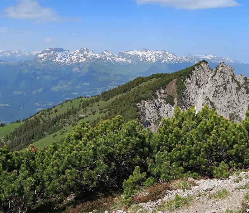 Garsellikopf Mountain - A mountain peak offering challenging hiking trails, stunning views, and diverse wildlife.