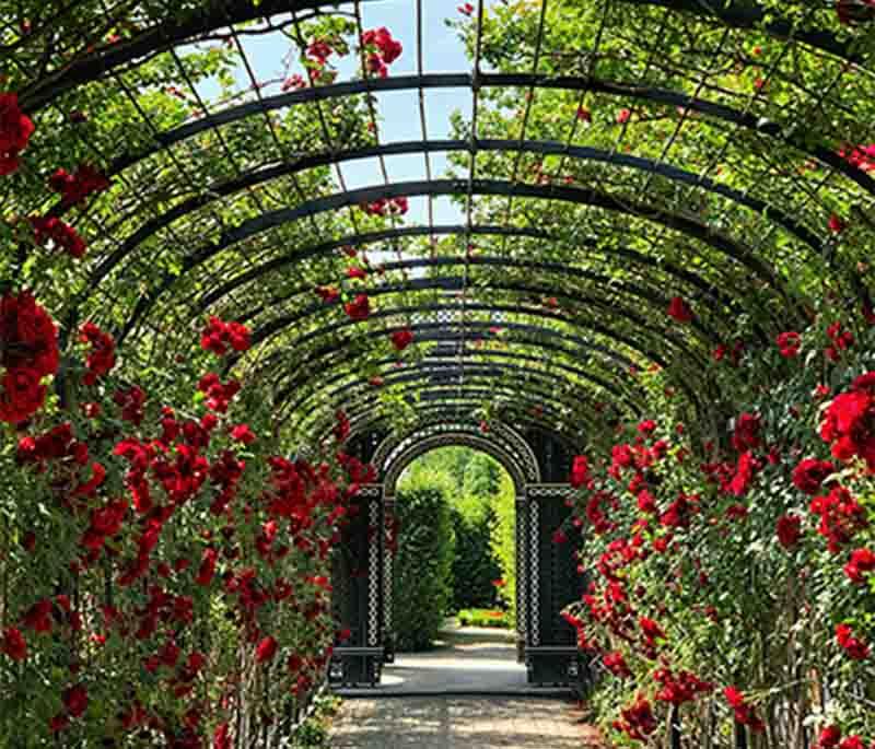 Godavari Botanical Garden, near Kathmandu - A beautiful botanical garden offering diverse plant species and scenic walks.