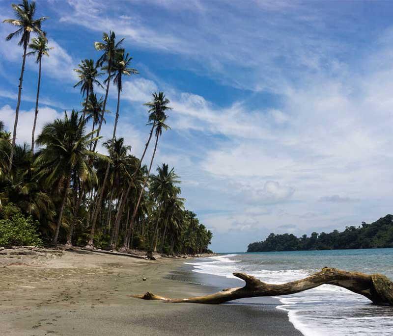 Gorgona Island, a former prison island turned national park, known for its biodiversity, beautiful beaches, and diving spots.