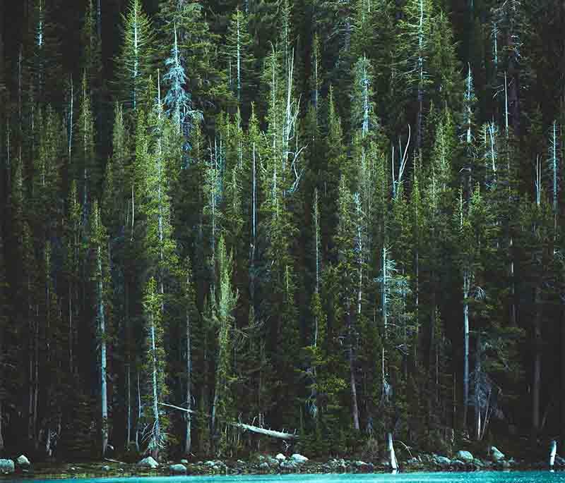 Gosaikunda Lake, sacred high-altitude waterbody: Pilgrimage site, surrounded by mountains, attributed to Lord Shiva creation