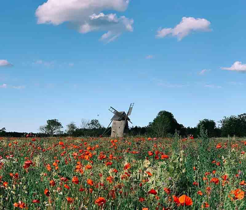 Gotland - Sweden's largest island, known for its unique landscapes, historic sites, and summer tourism.