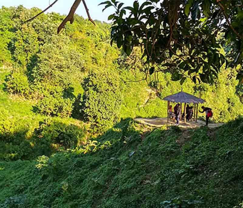 Himchari National Park, Cox's Bazar: Beautiful park with waterfalls, hills, and diverse flora and fauna.