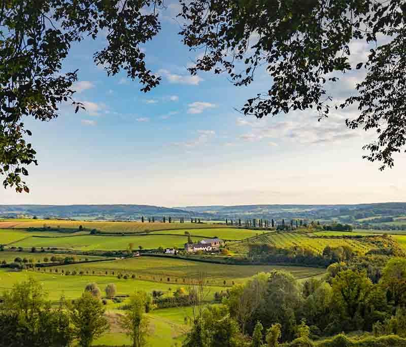 Hoge Kempen National Park in Limburg with scenic trails, dense forests, heathlands, and peaceful nature views.