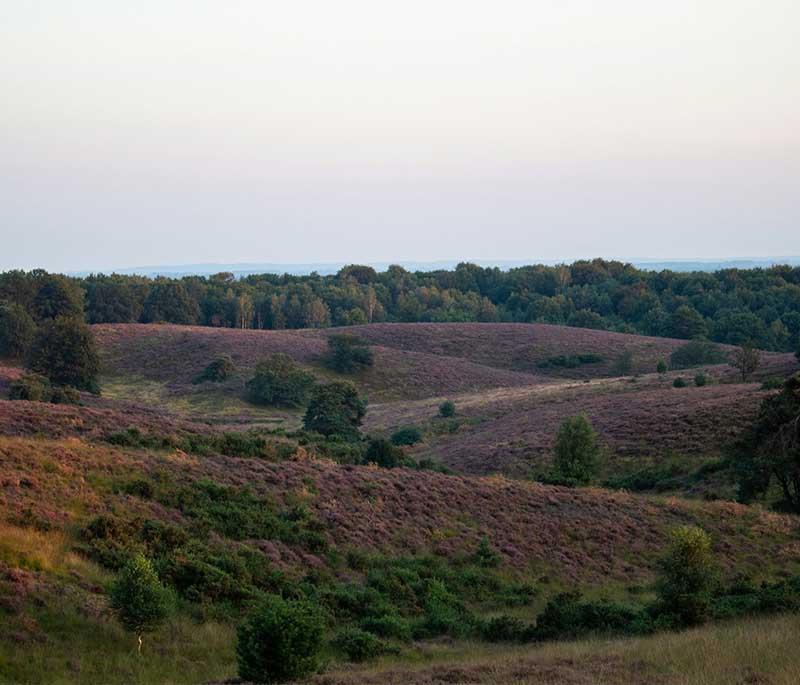 Hoge Veluwe National Park, Otterlo: Diverse park with art and wildlife, ideal for nature and art lovers.
