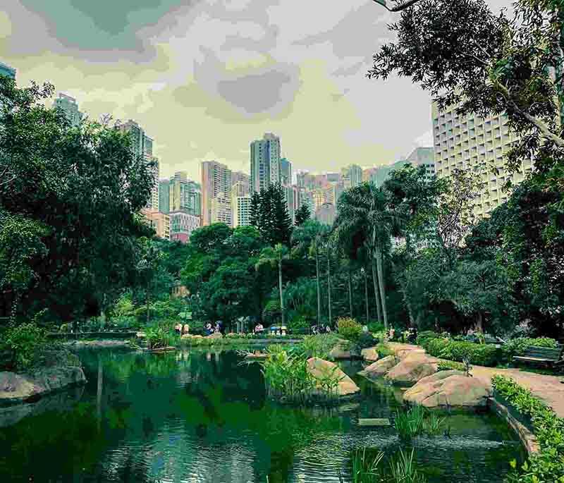 Hong Kong Park, a green oasis offering walking trails, gardens, and peaceful ponds in the heart of the city.