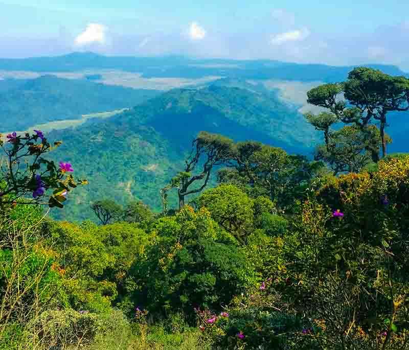 Horton Plains National Park - Highland park with diverse flora, fauna, and dramatic panoramic views.