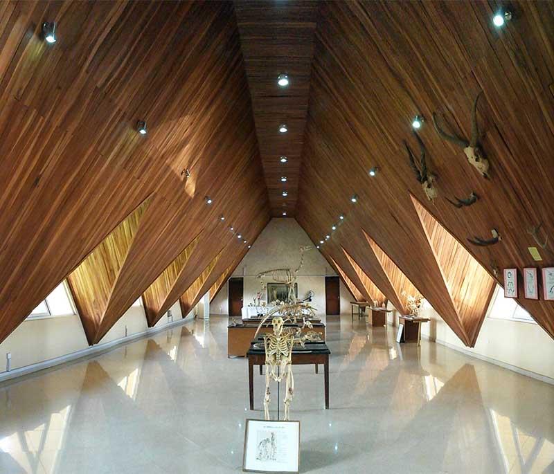 Ife Museum - Displays artifacts from ancient Yoruba city, including bronze and terracotta sculptures.