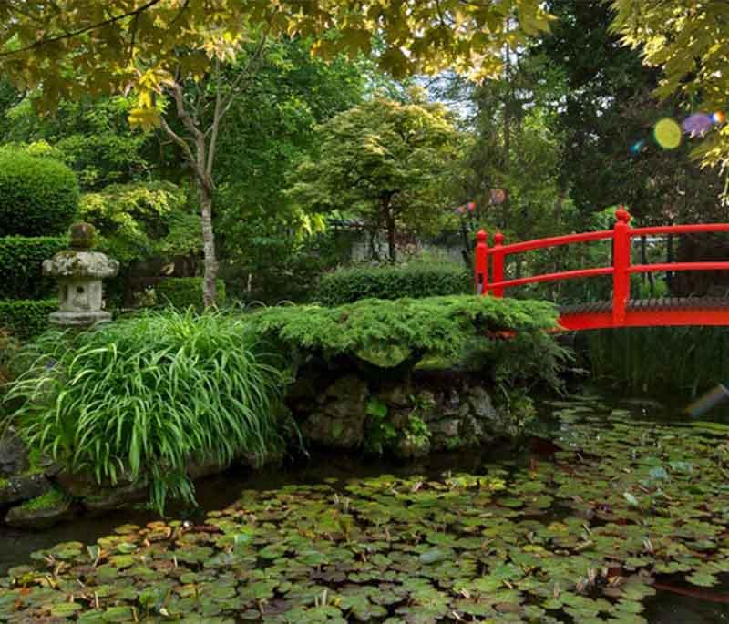 Irish National Stud and Gardens, County Kildare, a horse breeding facility with Japanese gardens and a horse museum.