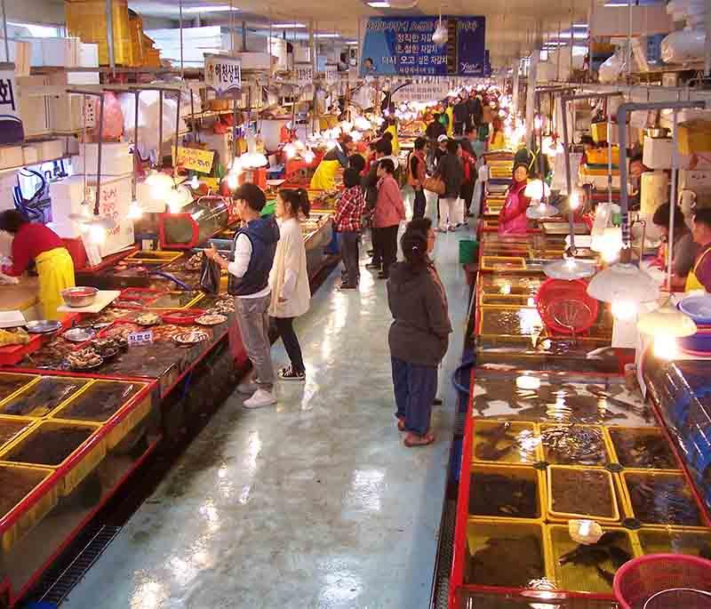 Jagalchi Fish Market, Busan - South Korea's largest seafood market, offering fresh seafood, dining, and a lively atmosphere.