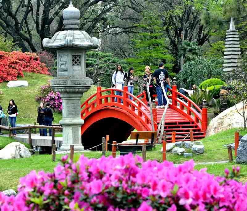 Japanese Gardens in Buenos Aires, displaying serene gardens with traditional Japanese design elements and peaceful ponds.