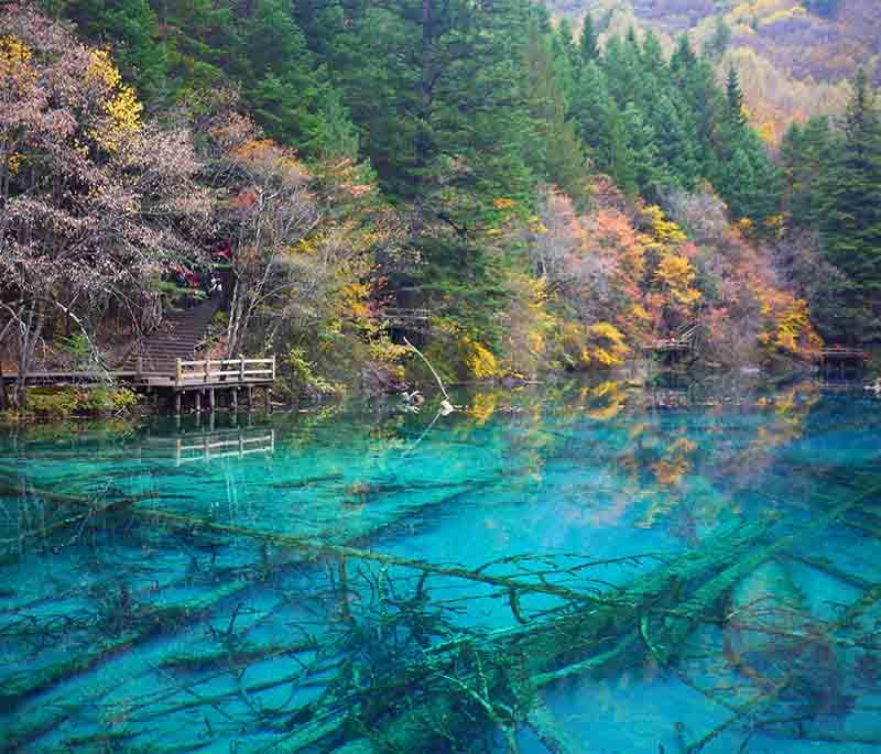 Jiuzhaigou Valley in Sichuan offers stunning views of its clear lakes, waterfalls, and rich biodiversity.