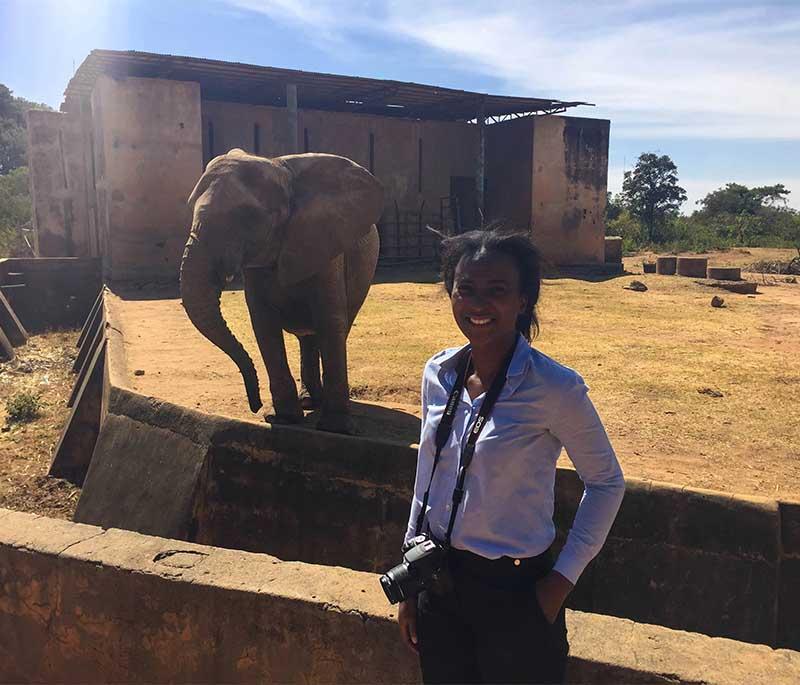 Jos Wildlife Park - A wildlife sanctuary in Jos, Plateau State, home to various animal species and a picnic area.