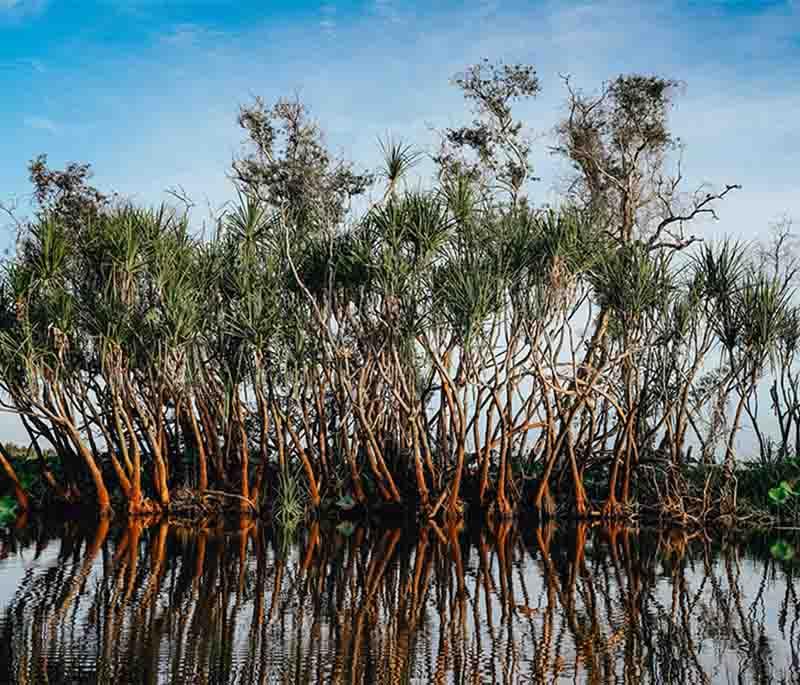 Kakadu National Park in Northern Territory showcases diverse ecosystems, Aboriginal rock art, and abundant wildlife.